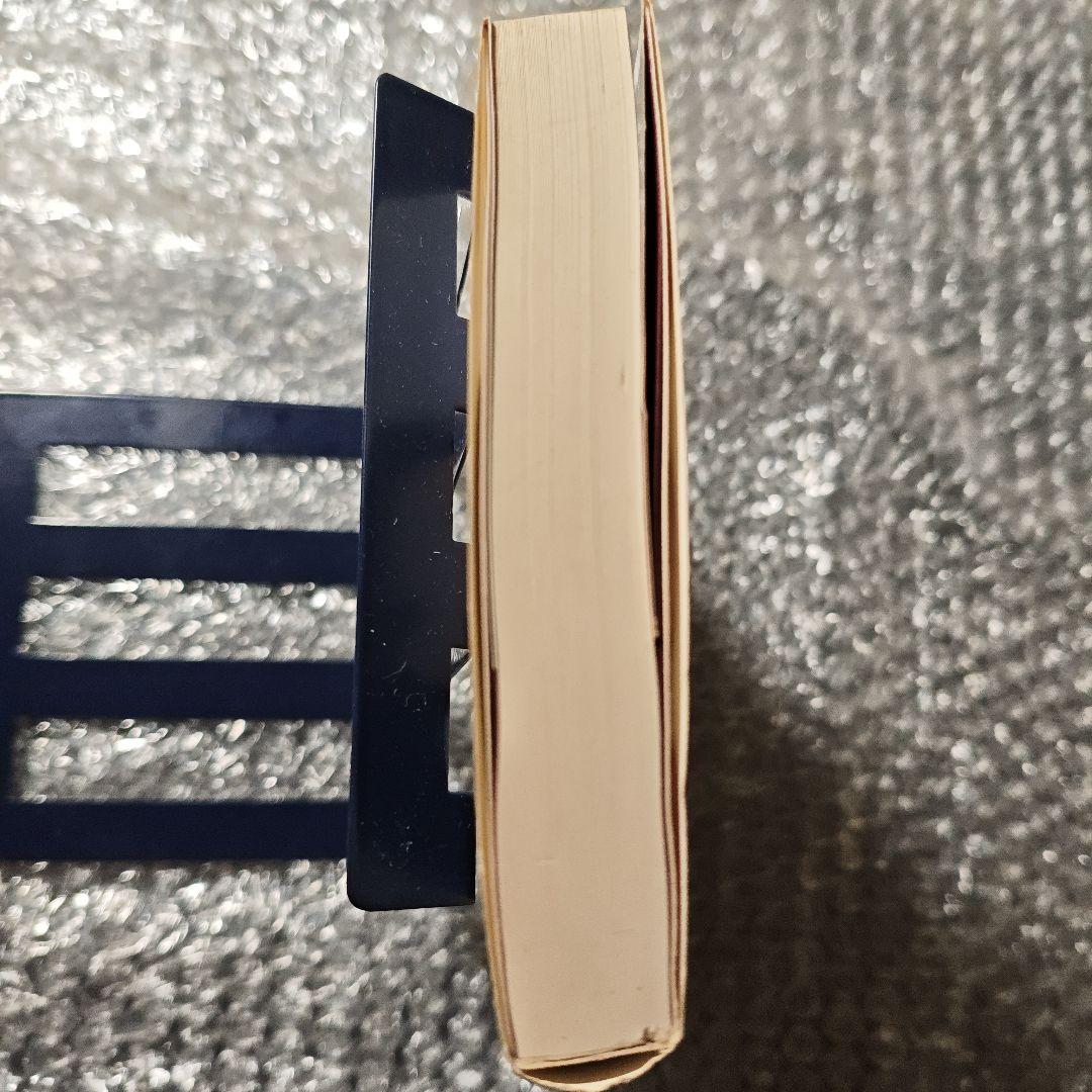 【希少品】パンツァードラグーン アゼル【小説】