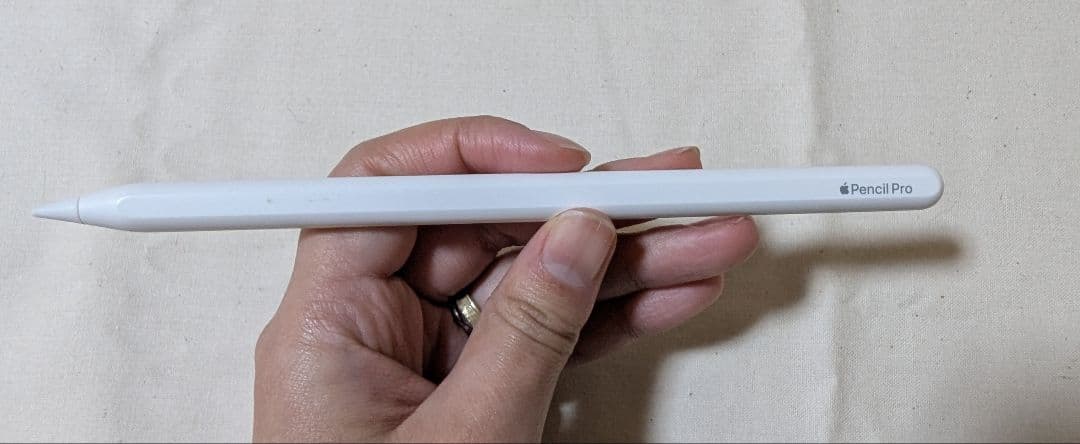 【絵描き向け】iPad Pro 13インチ Apple Pencil付き