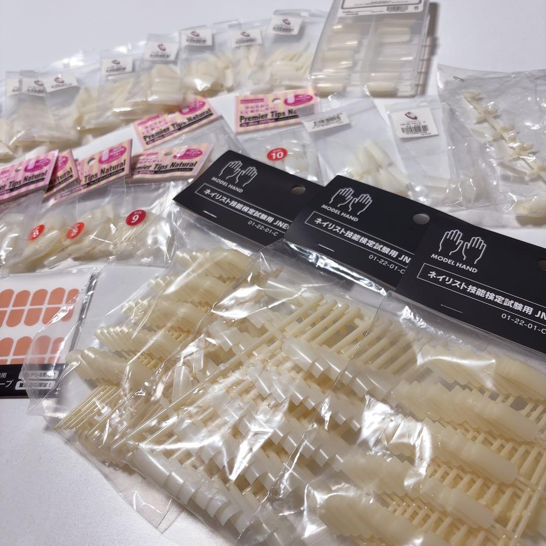 認定モデルハンド シャレドワ ネイル検定 1級 チップ