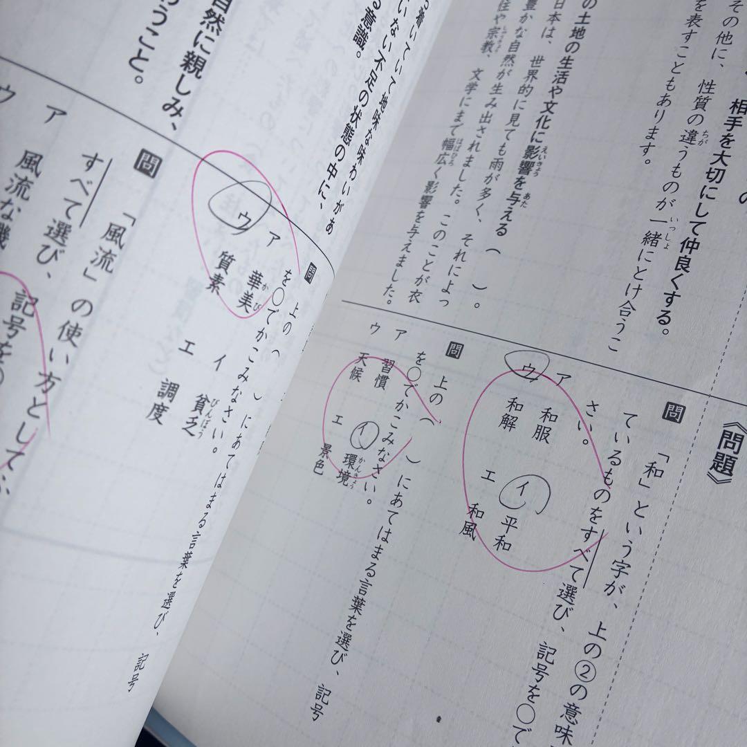 SAPIX6年　国語　通常授業テキスト最新1年分