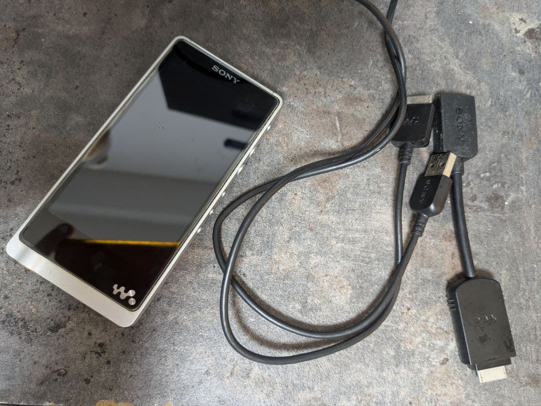 SONY NW-ZX1 ウォークマン128GB　SONY WMC-NWH10