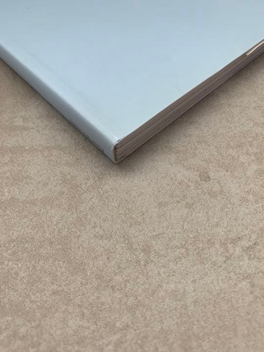 ライアン・マッギンレー 写真集