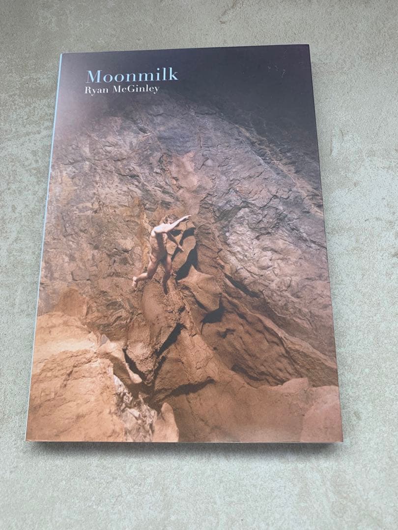 ライアン・マッギンレー 写真集