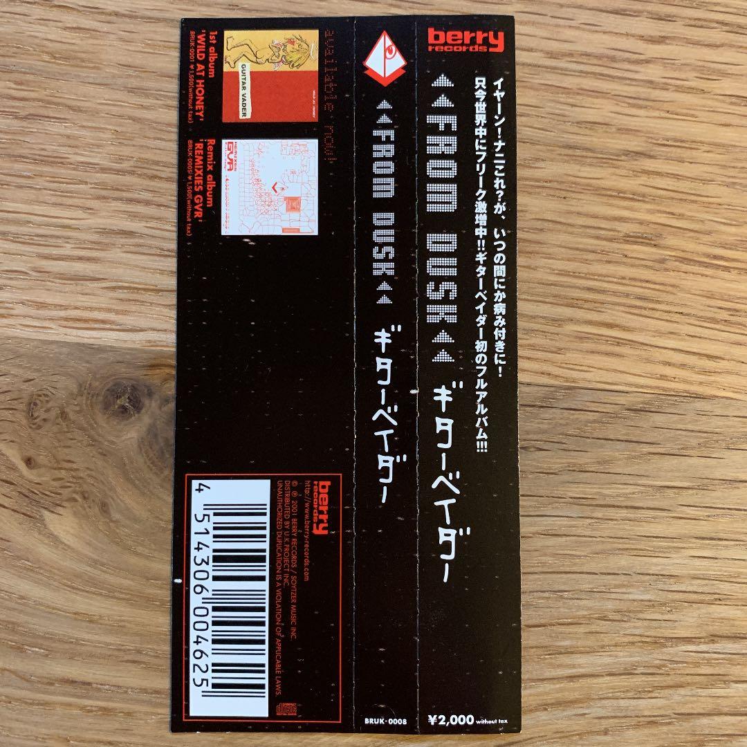 ギターベイダー/FROM DUSK