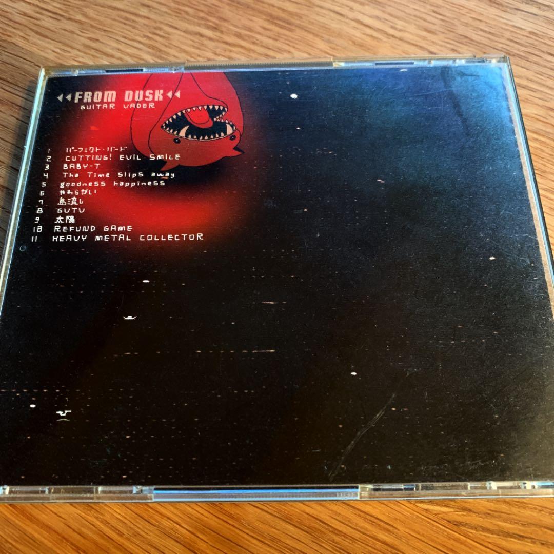 ギターベイダー/FROM DUSK