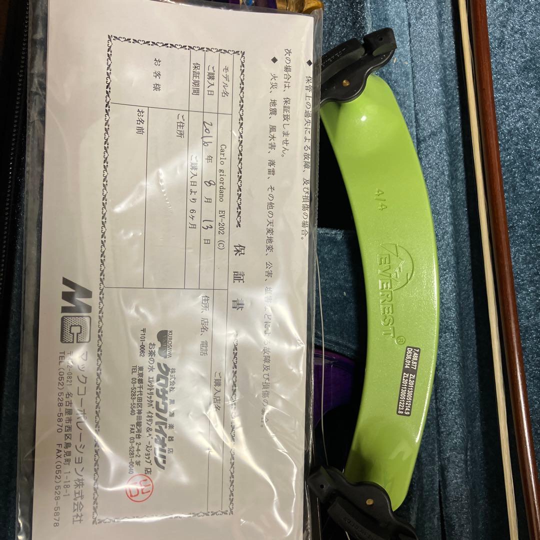 Bananaカルロジョルダーノ　エレキバイオリンクロサワバイオリン