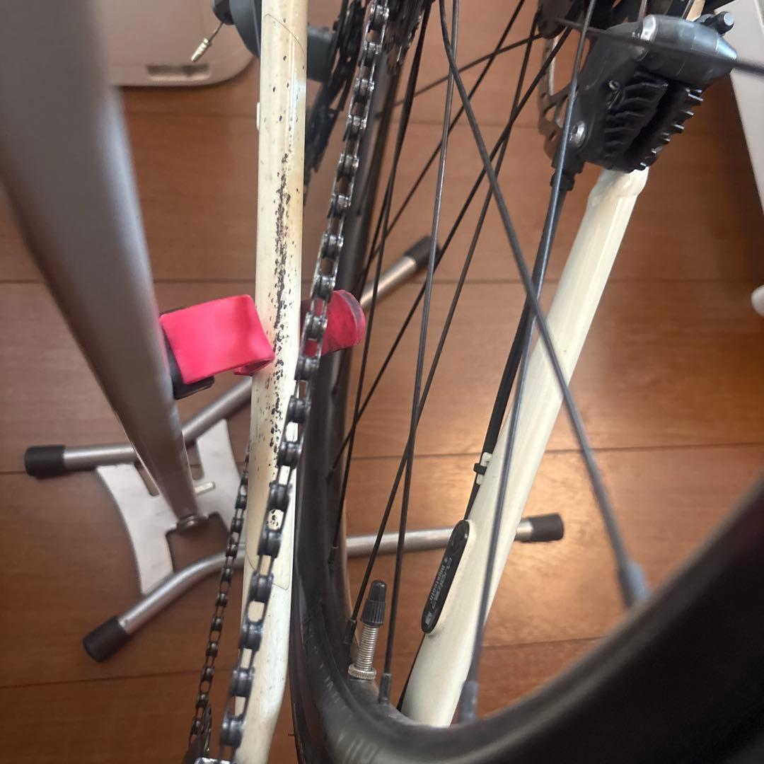 Trek ロードバイクDOMANE AL4 （サイズ:54）