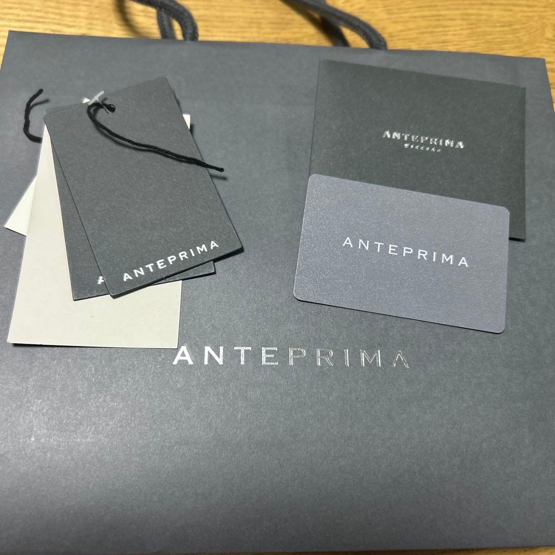 ANTEPRIMA シルバーゴールド ミニアトゥーラ ショルダーバッグ