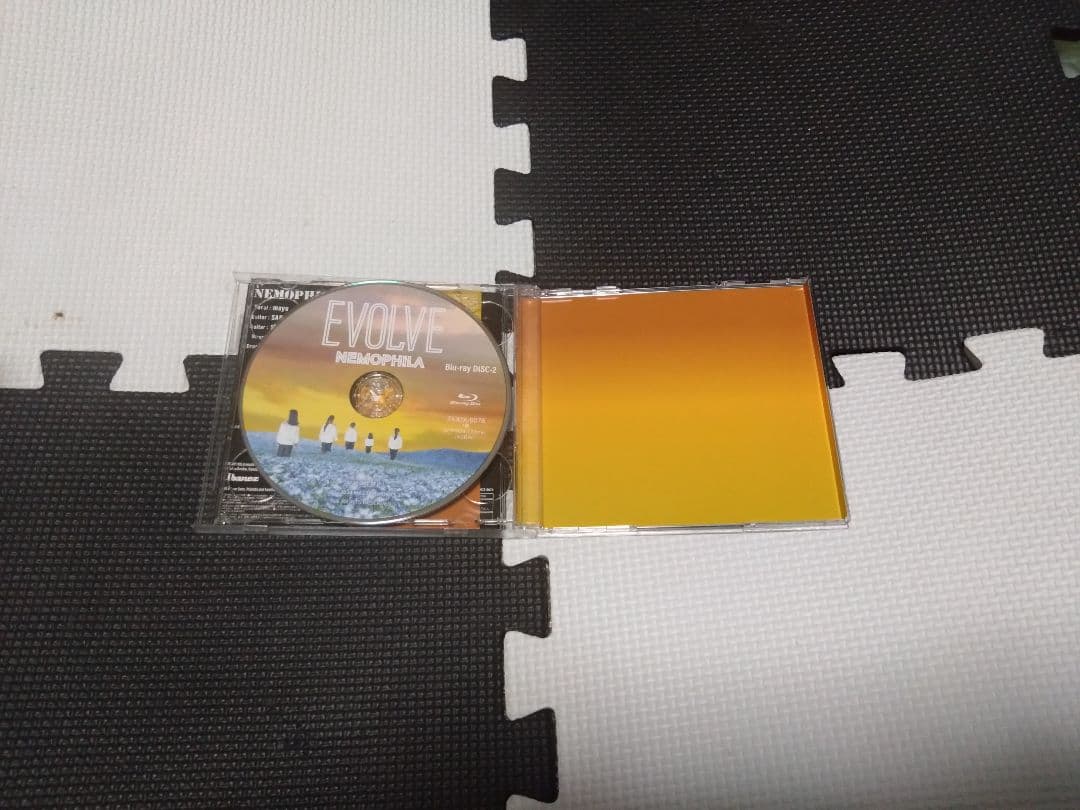 ま*う様 美品 NEMOPHILA 『EVOLVE』限定盤 直筆サイン入りCD