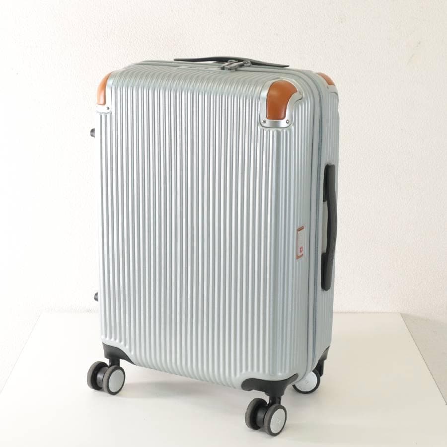 値下展示品 スイスミリタリー 20インチ スーツケース シルバー 機内持ち込み