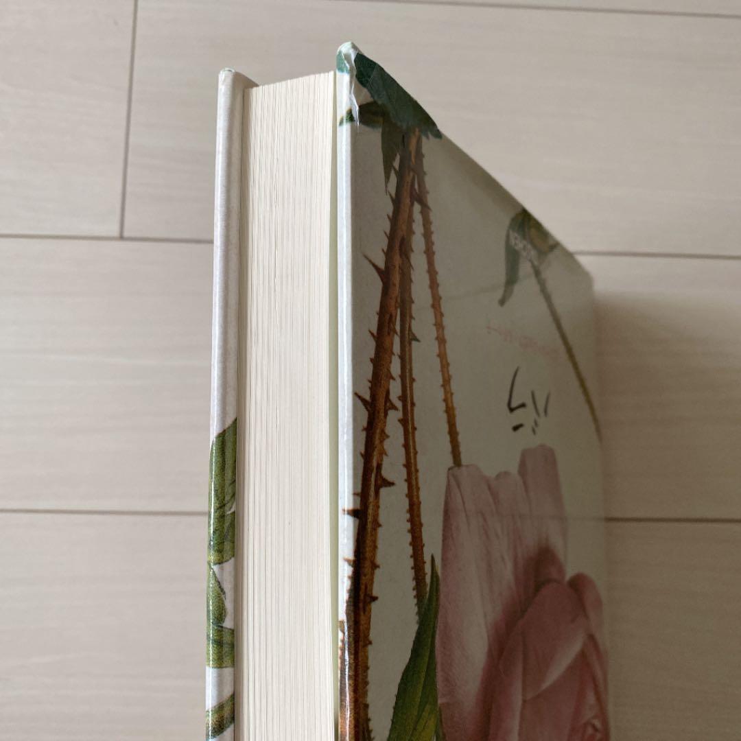 バラ　ルドゥーテ