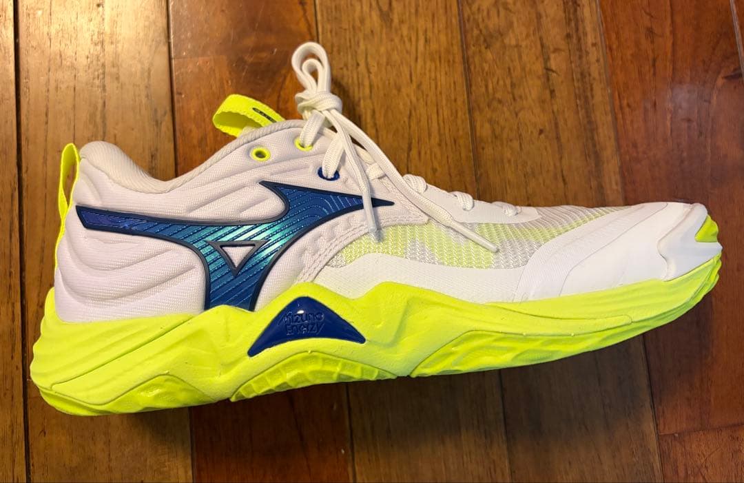 バレーボールシューズ Mizuno WAVE MOMENTUM ELITE