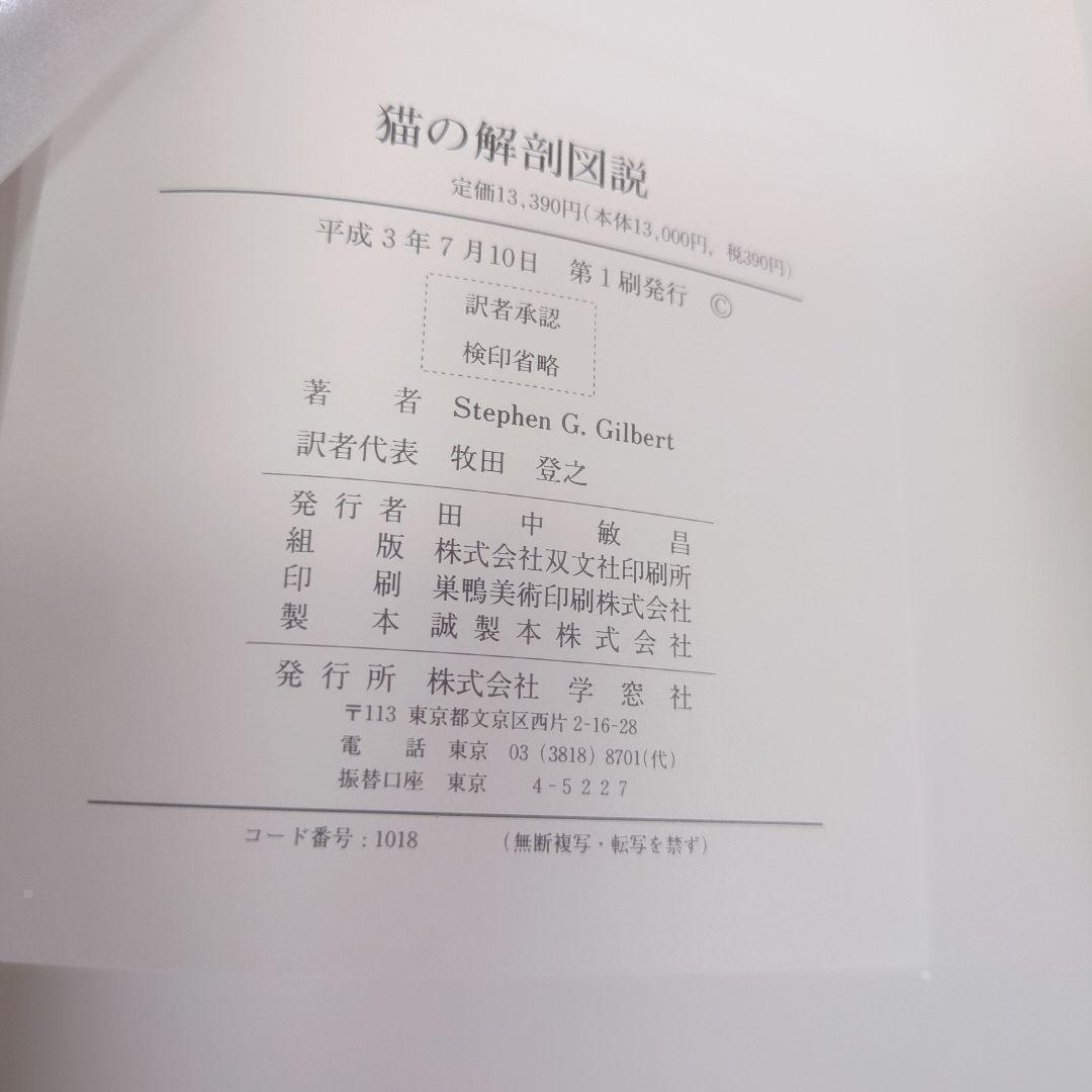 【美品】 猫の解剖図説