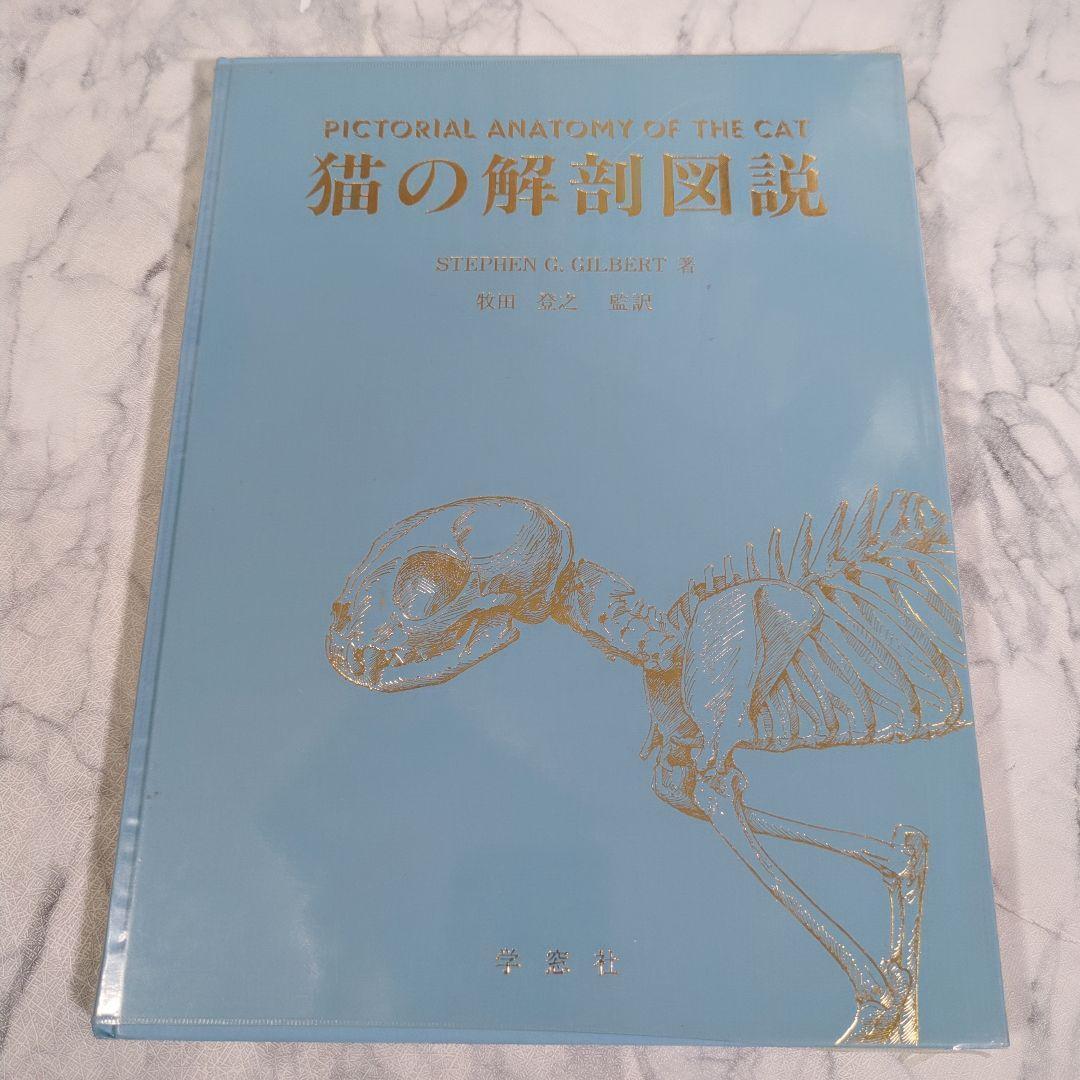【美品】 猫の解剖図説