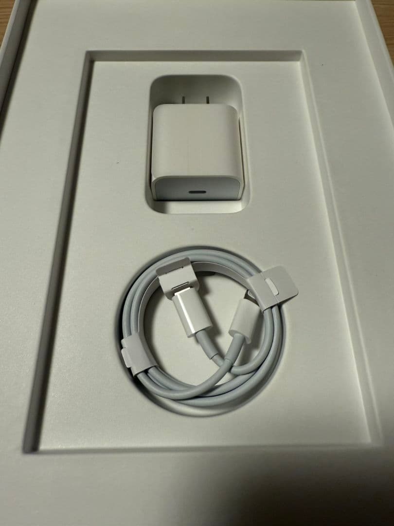 iPad 9 (第9世代) Wi-Fi 64GB 本体