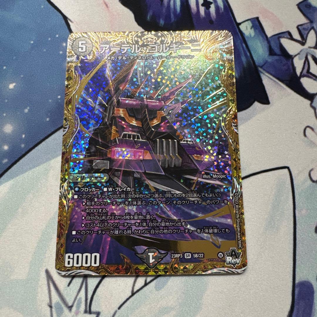 アーテルゴルギーニ　bシク