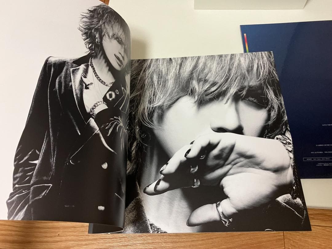 ミュージック LIVE TOUR18-19 THE NINTH FINAL GazettE