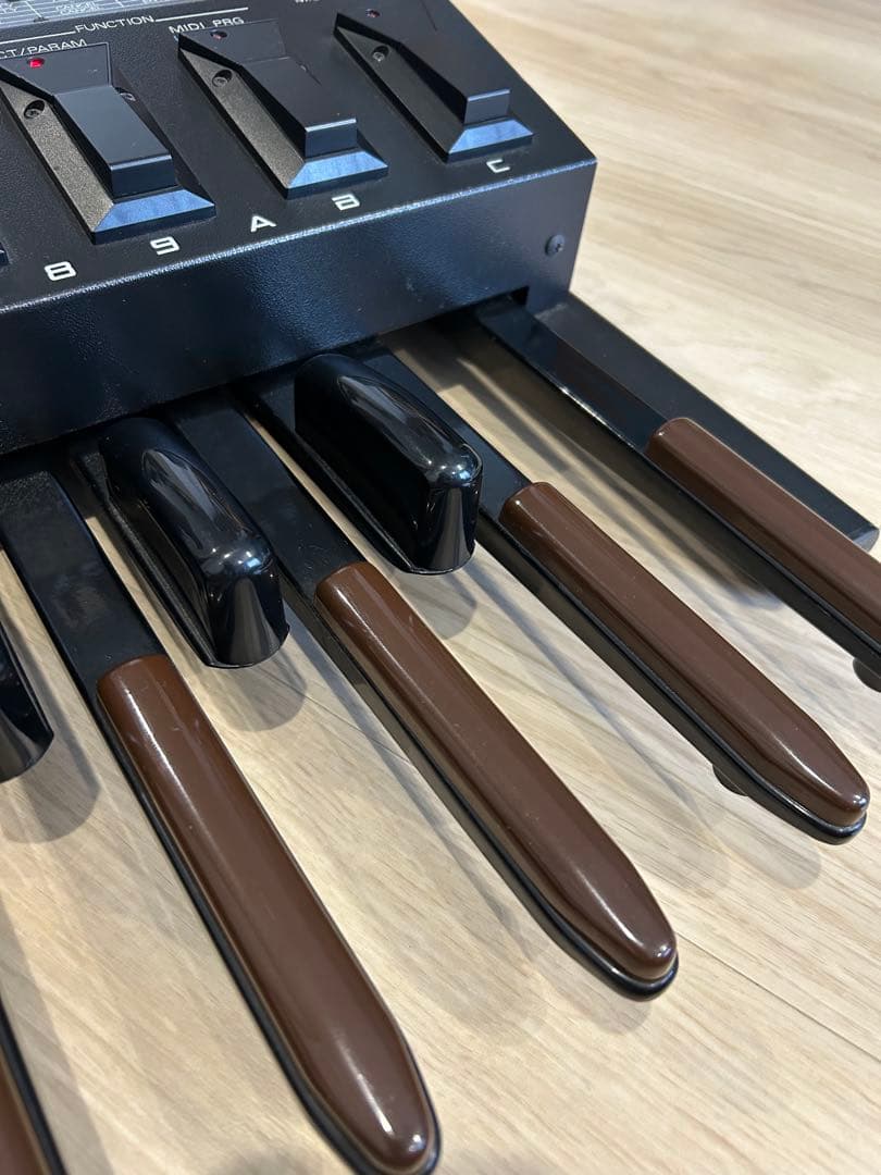 Roland PK-5 Dynamic MIDI Pedal ロランド