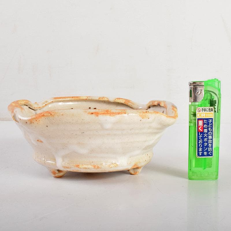 和食器　笠原窯　志野　向付　五客　共箱　V　R4988