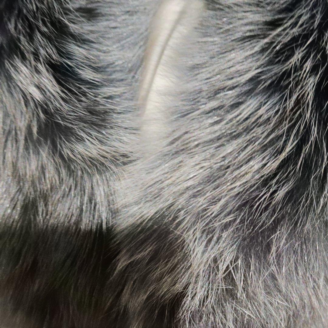 ちゃむち様ご売約品✨ 毛皮ファーコート ブルーグレー13