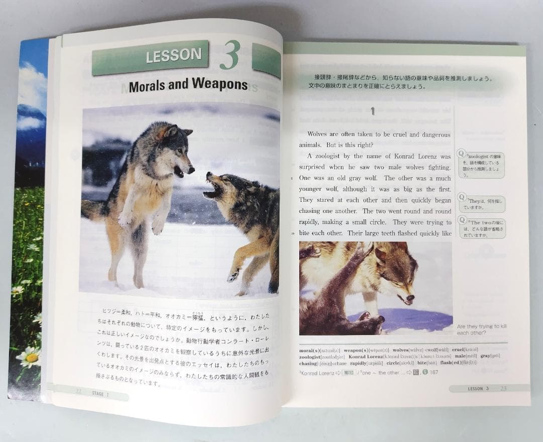 語学・辞書・学習参考書 Magic Hat English Course Reading