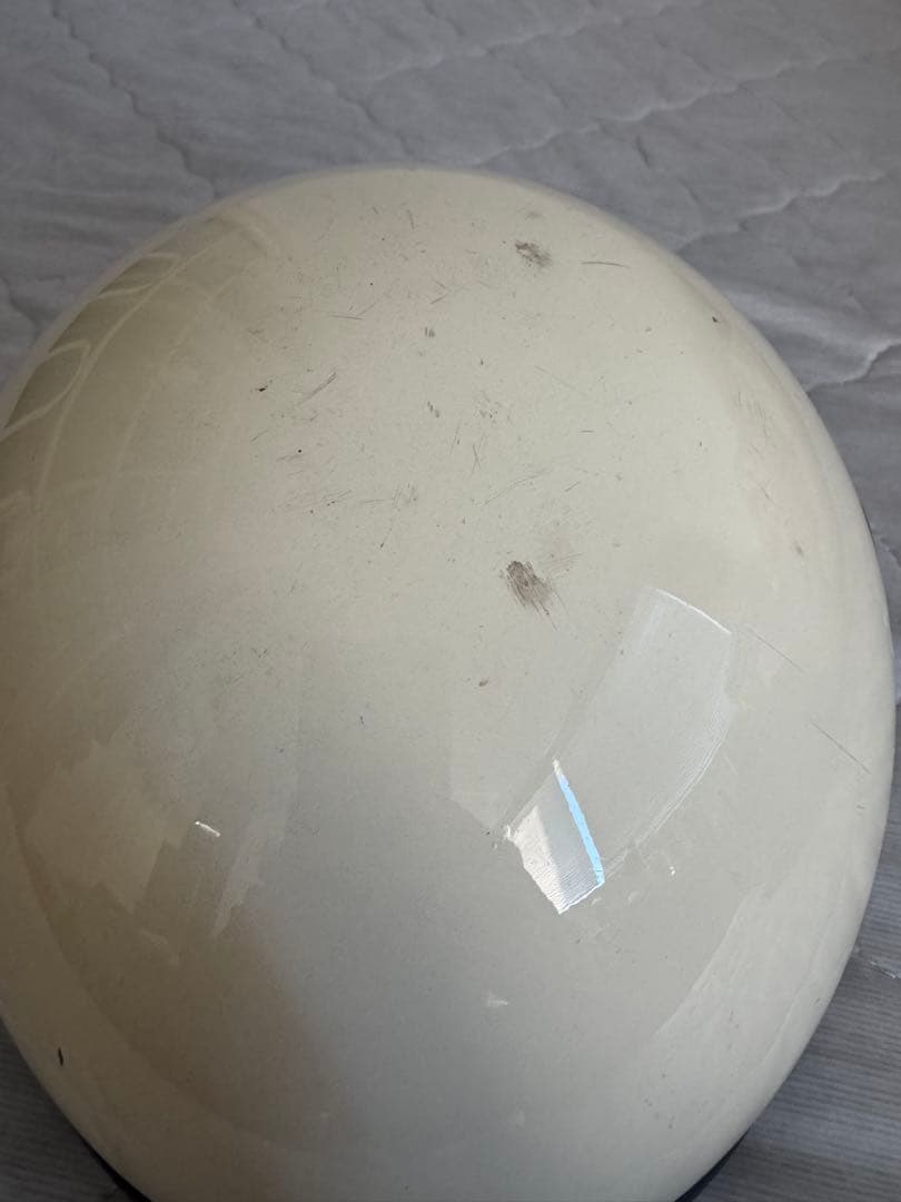 オーシャンビートルショーティ−4