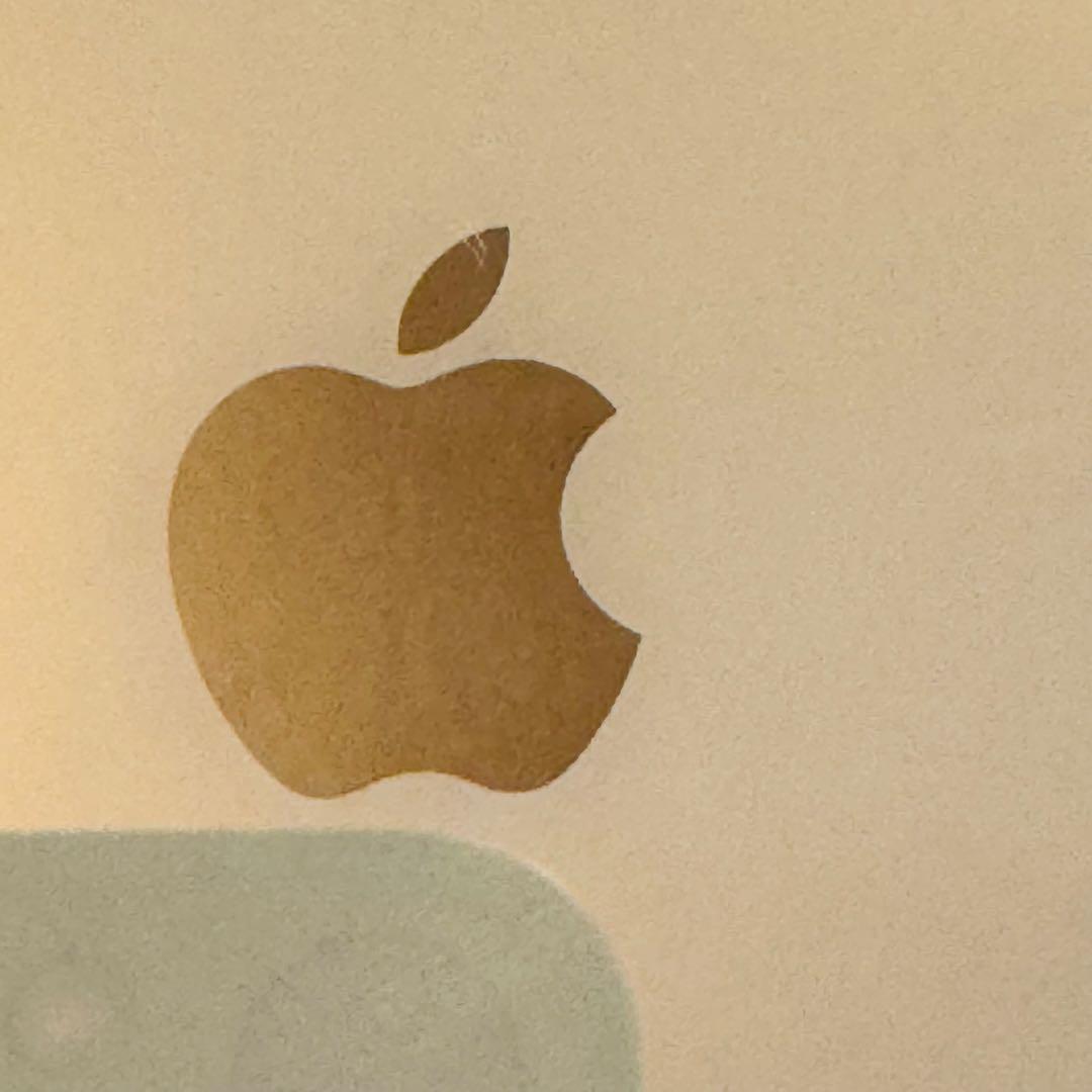 iPhone Xs Max Gold 256GB SIMフリー FaceID不可