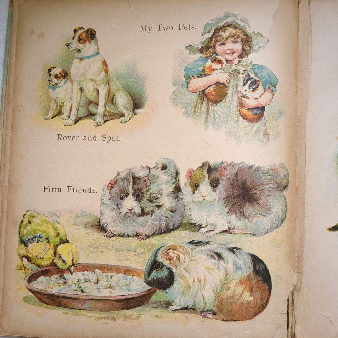 超稀少アーネストニスター アンティーク絵本 児童書 洋書古書 ヴィクトリアン