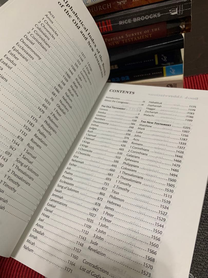 洋書 The Skeptic's Annotated Bible