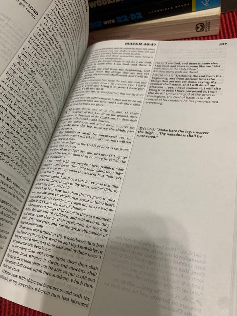 洋書 The Skeptic's Annotated Bible