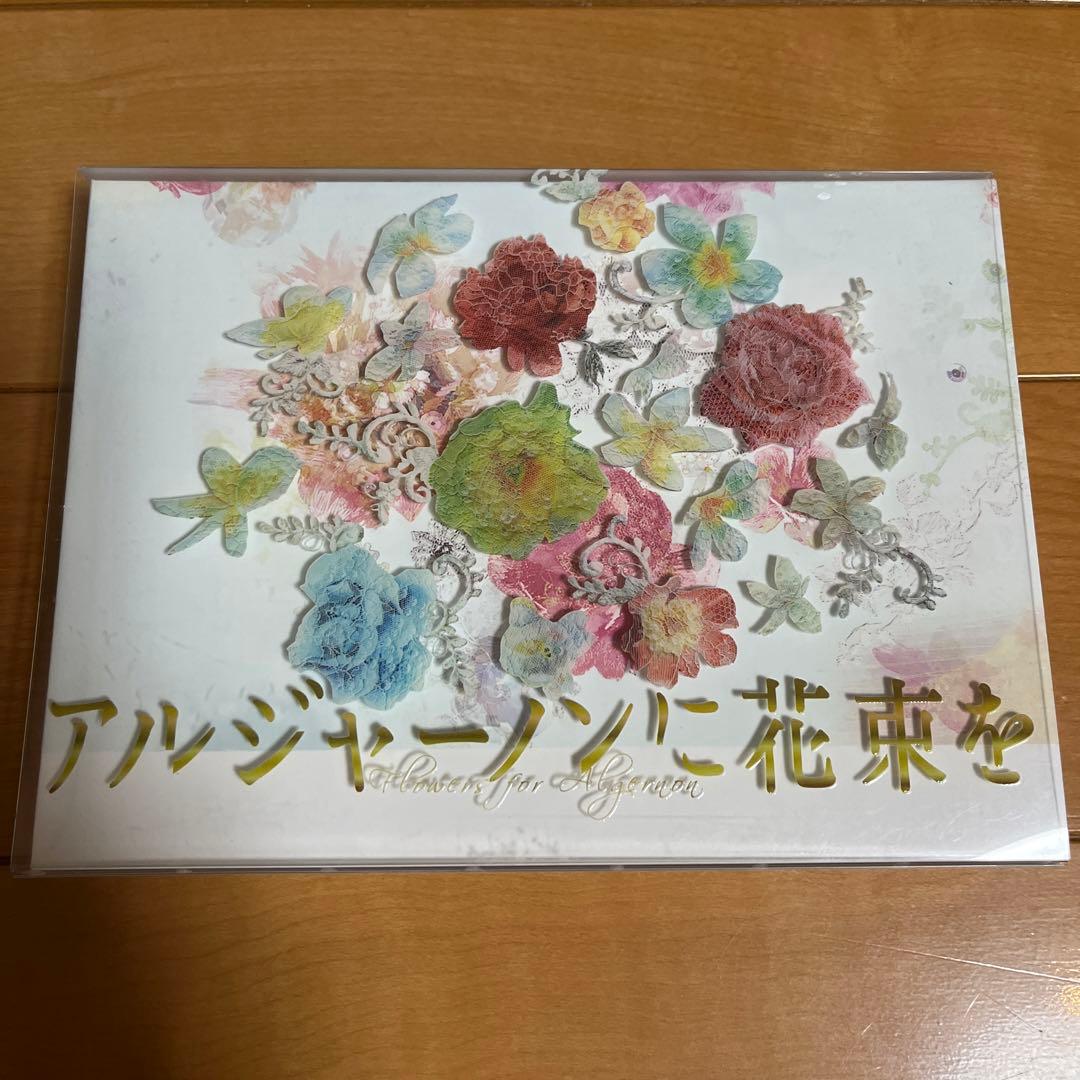 アルジャーノンに花束を　ドラマDVD 山下智久