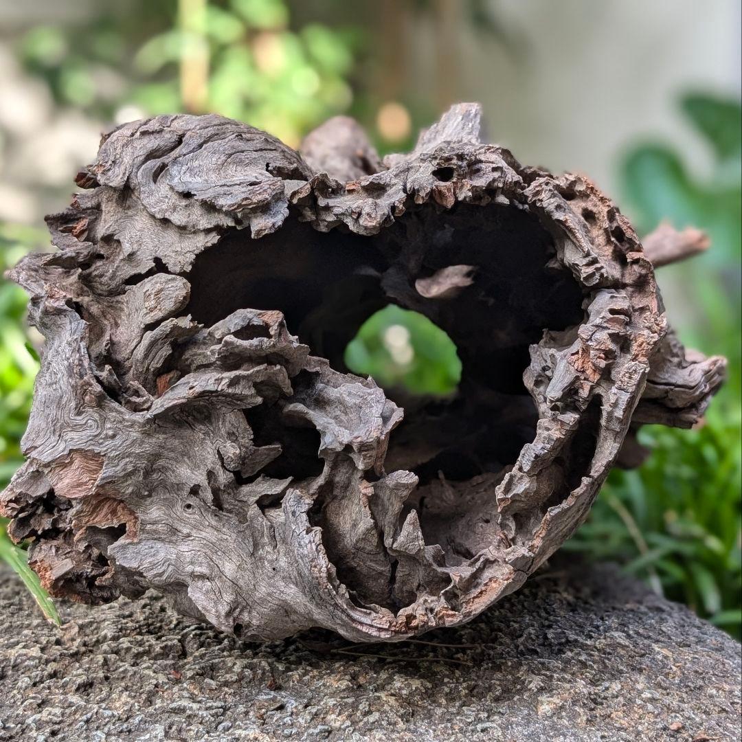 プレミアムスタンプウッド【PSW002】流木 アク抜き処理 アクアリウム