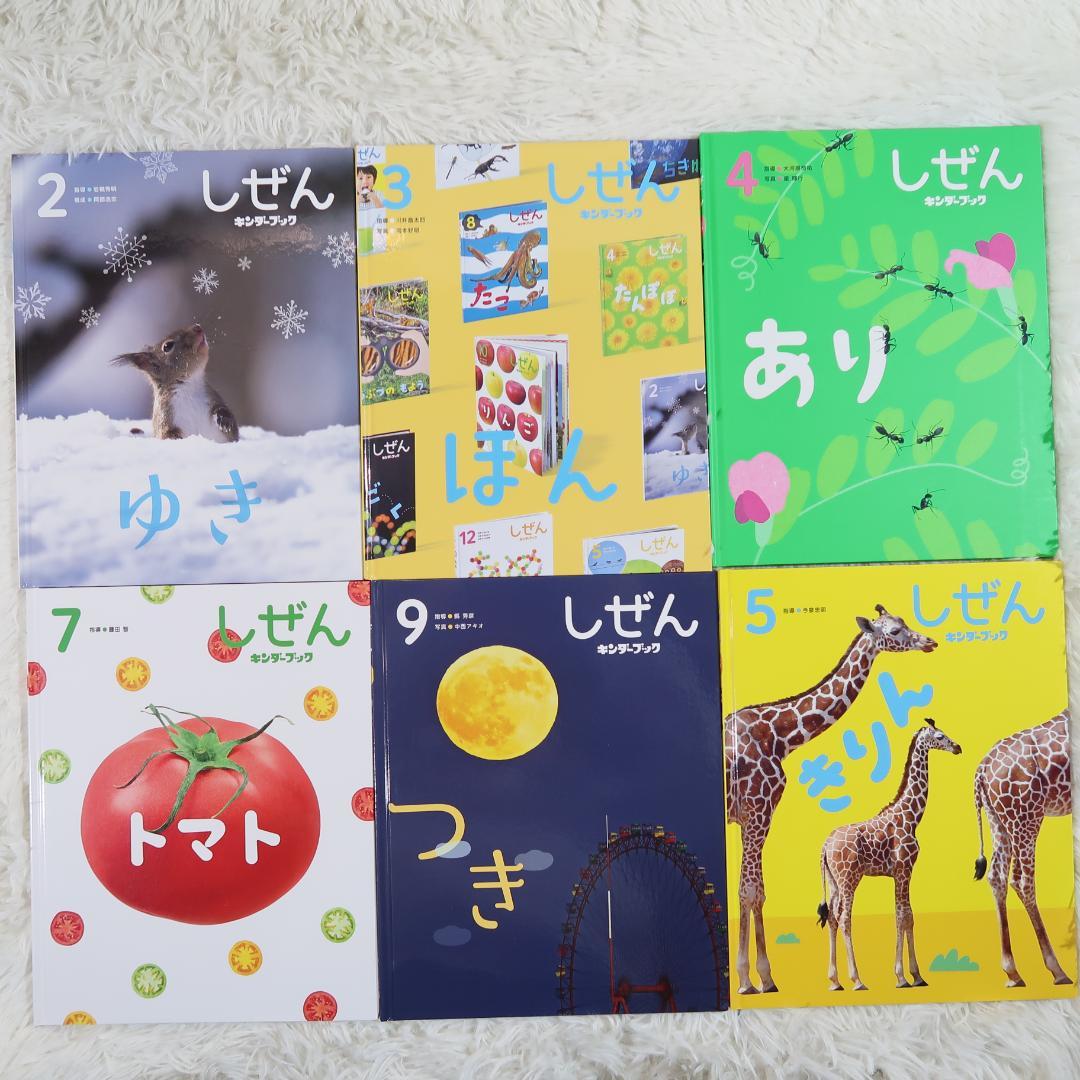 キンダーブック　しぜん 50冊セット　【24時間以内発送】