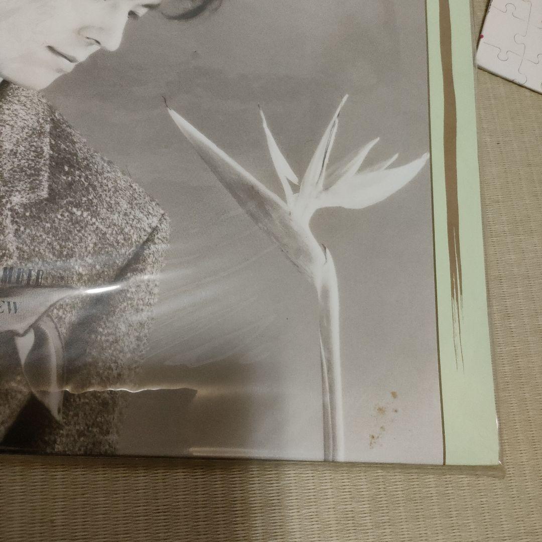 邦楽レコードまとめ売り18枚セット