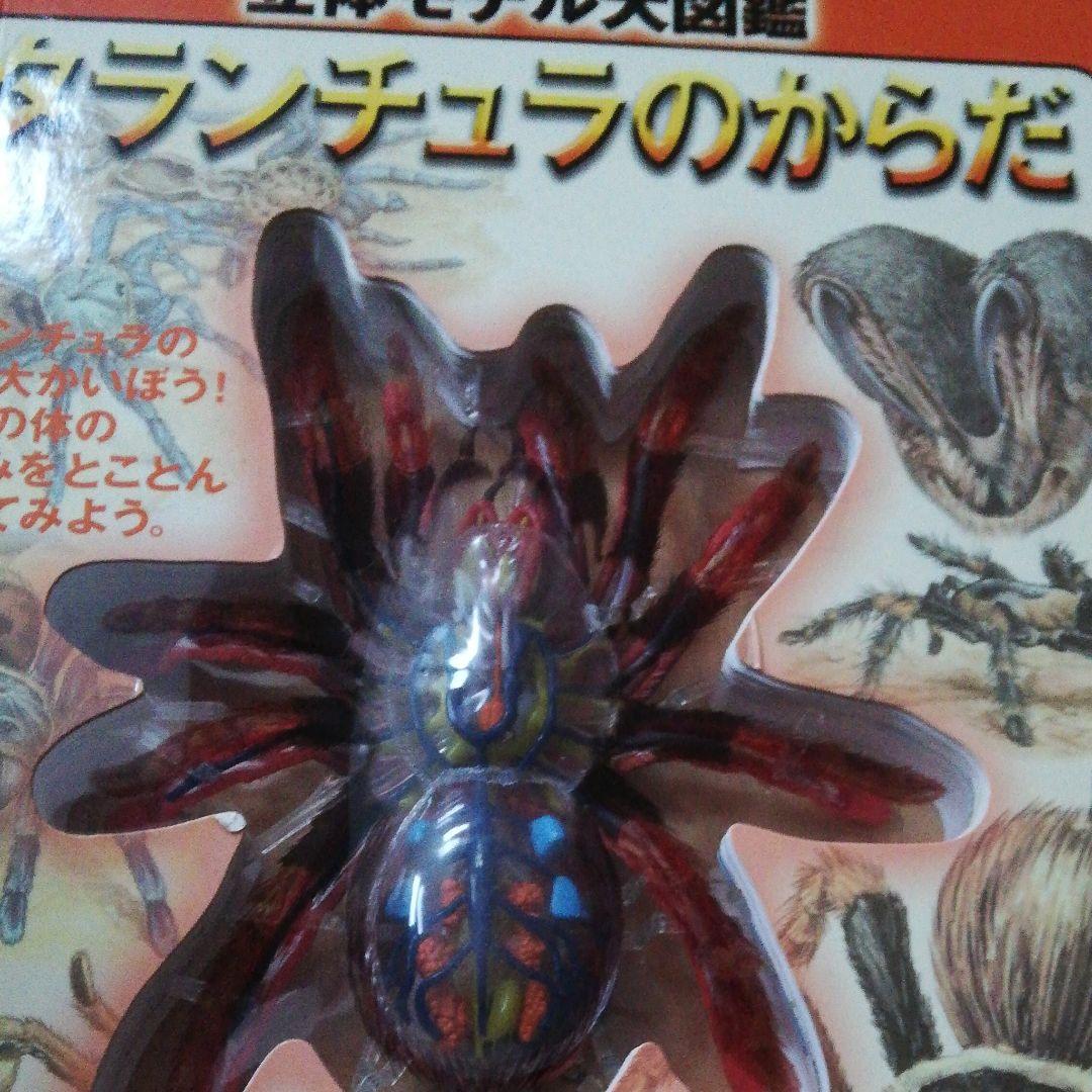 値下げしました。サメのからだ 立体モデル大図鑑 コブラ タランチュラ 3冊セット