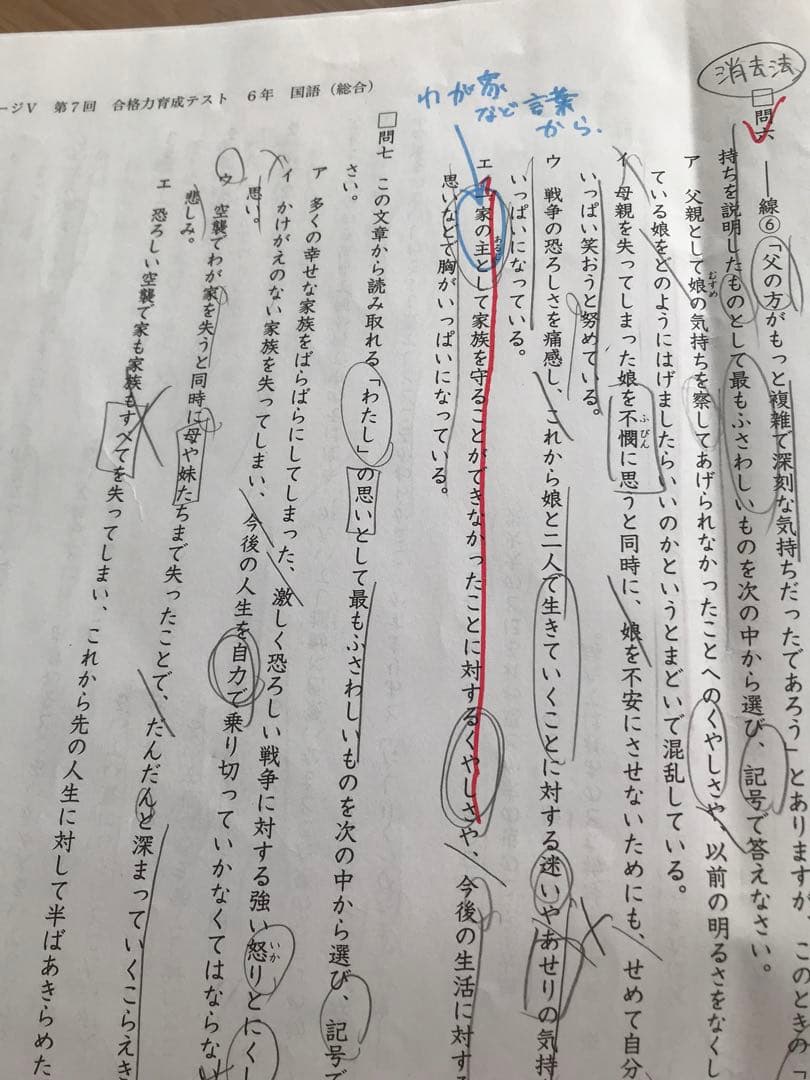 日能研6年2024学習力育成テスト17回、合格力育成7回、実践5回、講習5回