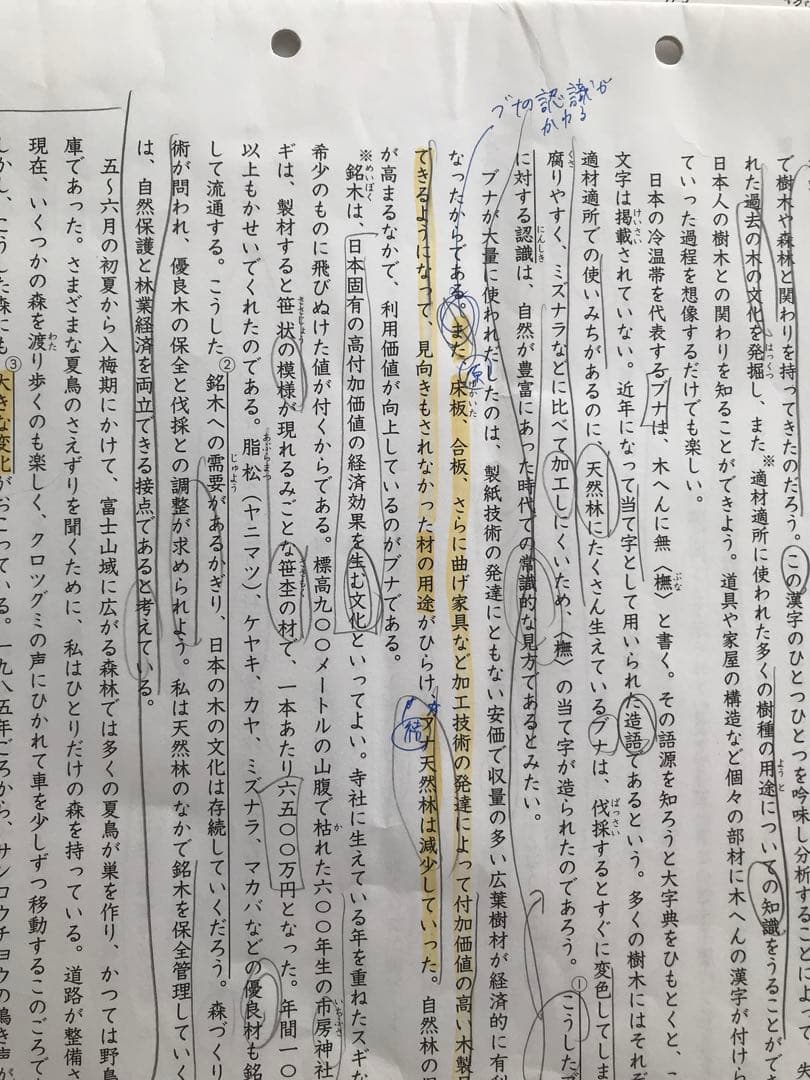 日能研6年2024学習力育成テスト17回、合格力育成7回、実践5回、講習5回