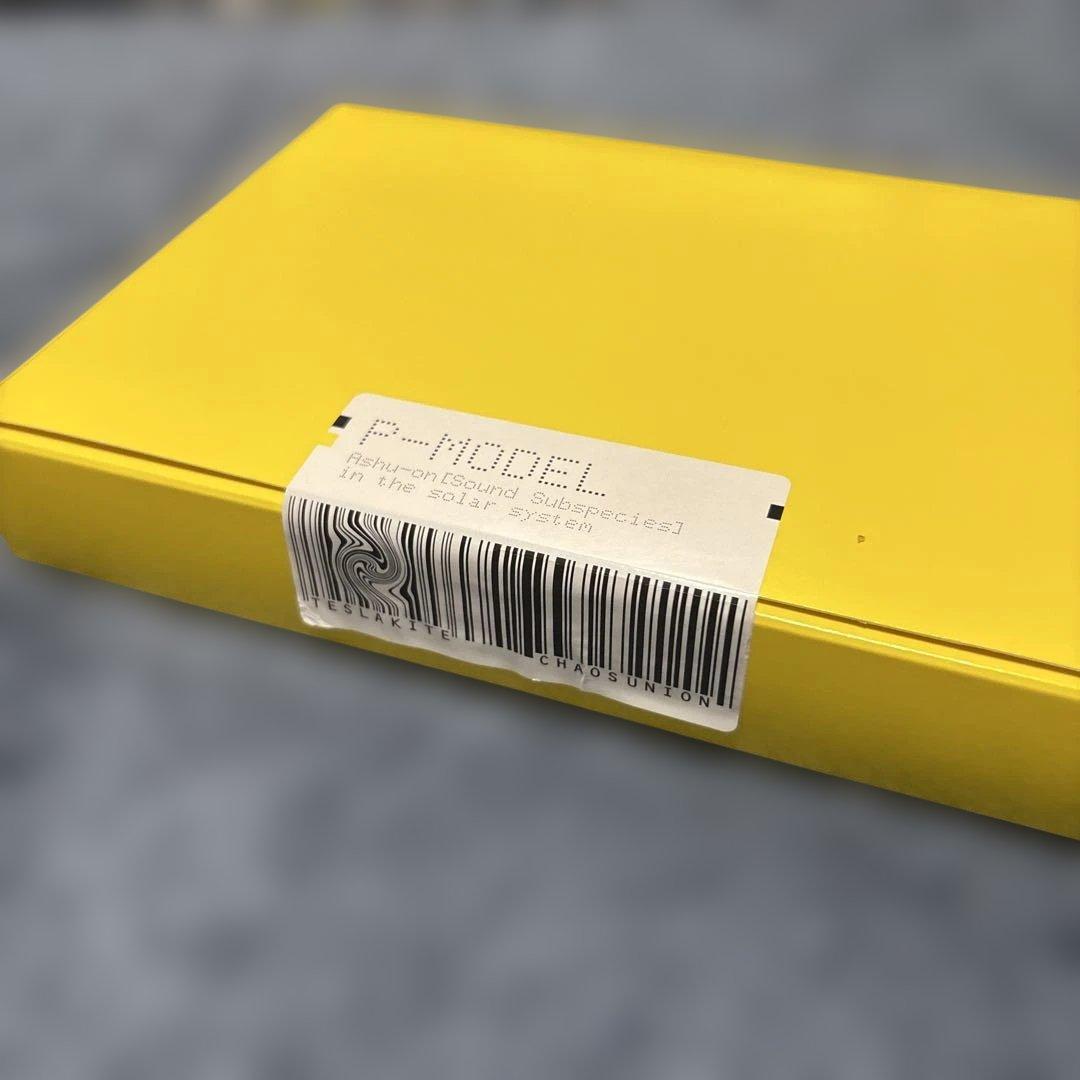 P-MODEL 平沢進　太陽系亞種音(新装版) 会員特典CD付き