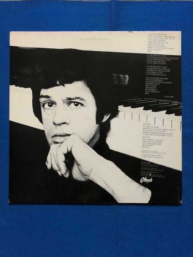 LPレコード♢スティーブ・ギブ♢CLOUD8807♢うg4922w43