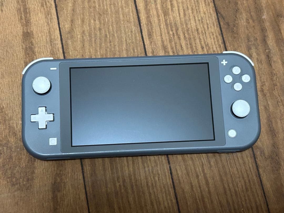 Nintendo Switch Lite グレー ケース付き　初期化済み