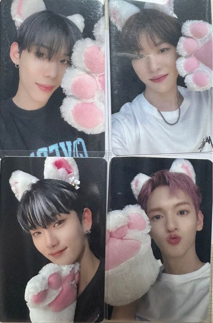 n.SSign  猫ver. トレカ セット