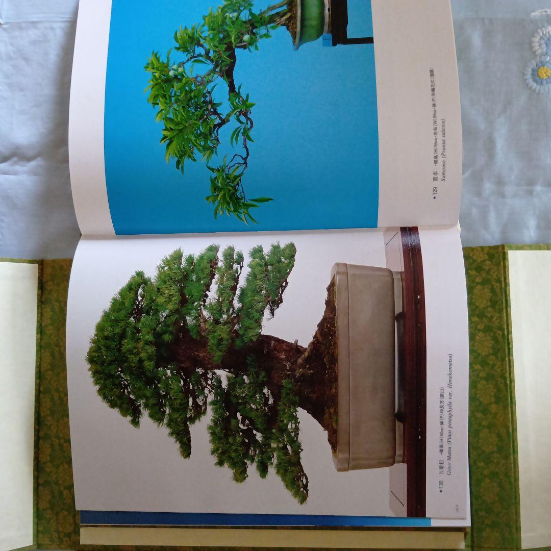 高砂庵 盆栽作品集