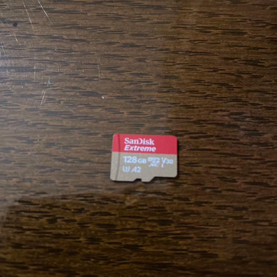 Nintendo Switch Lite グレー 本体 + 128GBカード