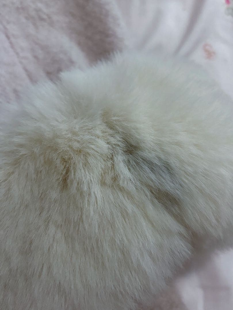 リズリサ LIZLISA ビジューリボンミニ丈Aラインコート ピンク 完売品