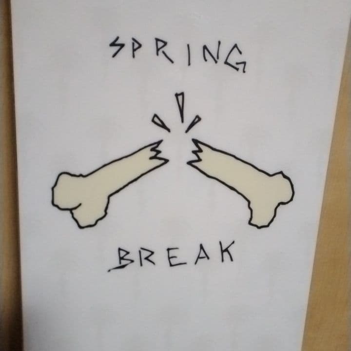 リ*8様 キャピタ　スプリングブレイク　 147cm　 SLUSH SLASHE