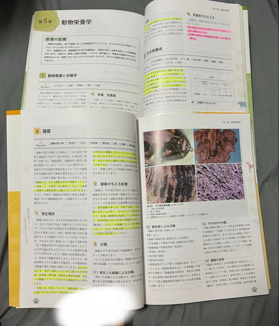 動物看護の教科書 6冊セット