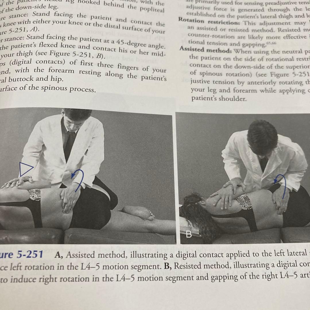 Chiropractic Technique 第三版　カイロ！整体！鍼灸！英語