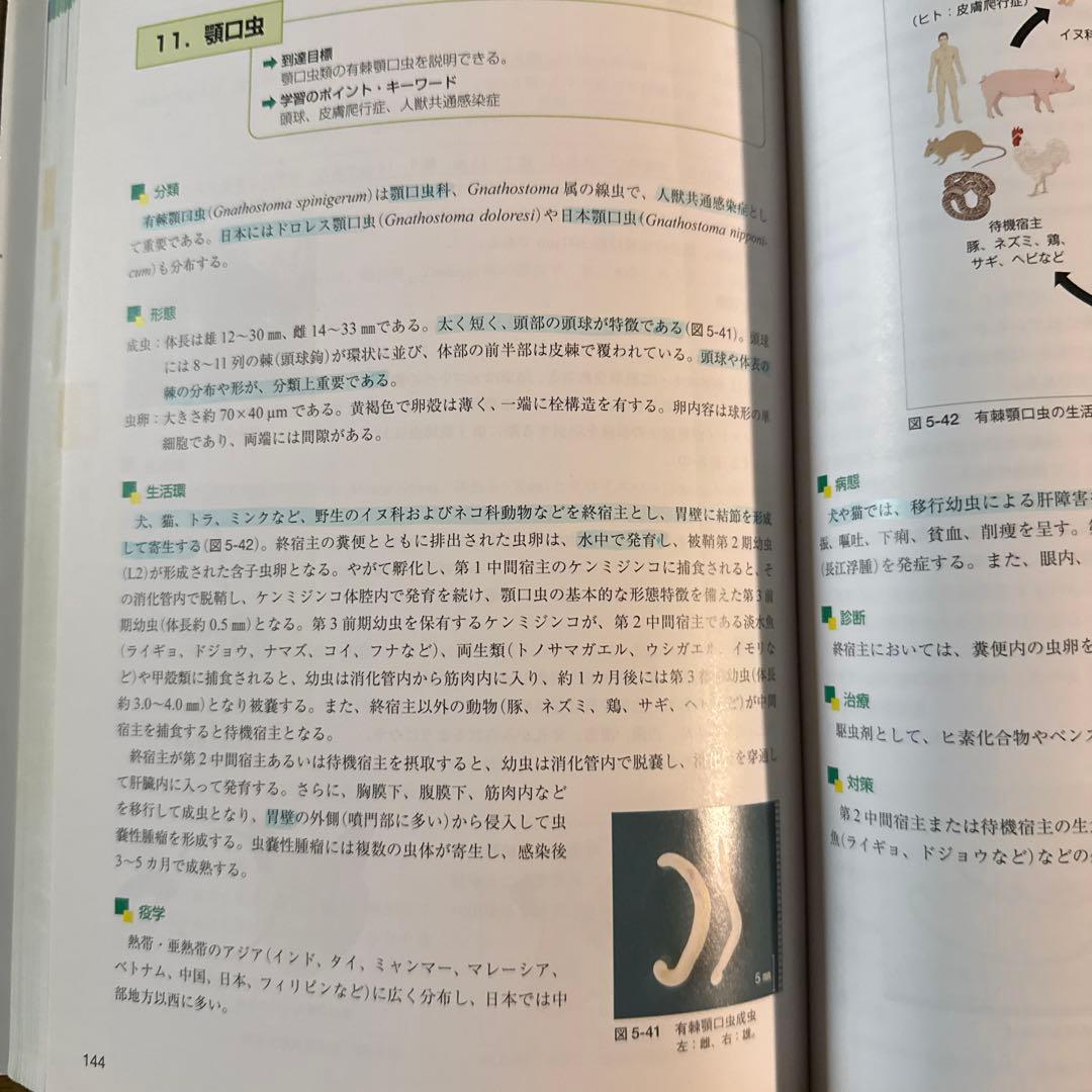 獣医　寄生虫病学