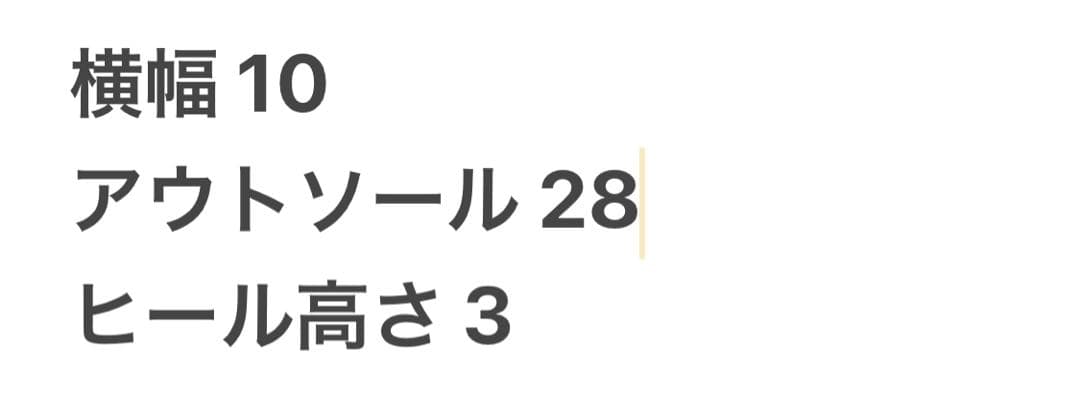 未使用✨スコッチグレイン シャインオアレイン 2724 ビジネスシューズ