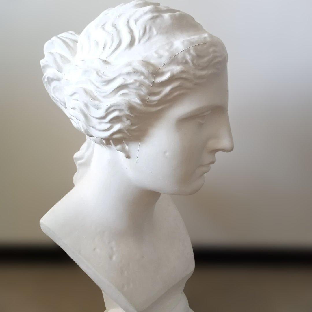 ミロのビーナス石膏像